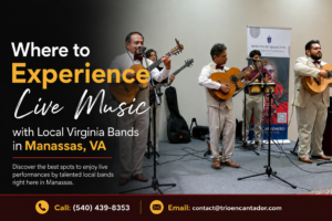 Local Virginia Bands in Manassas